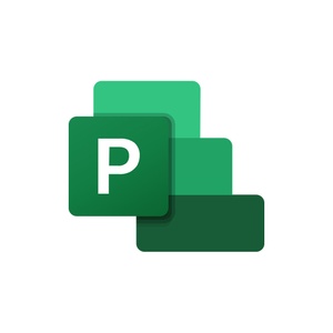 MS Project